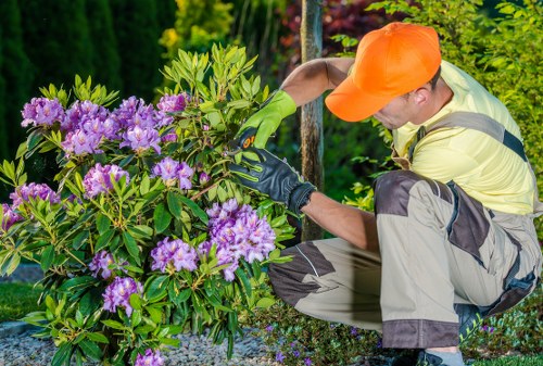 Landscaping team demonstrating ethical work standards