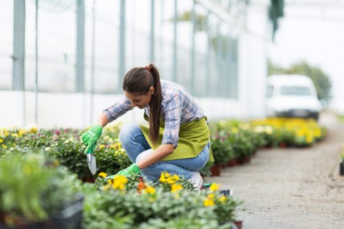 Cookie policy overview for Landscaping Limehouse