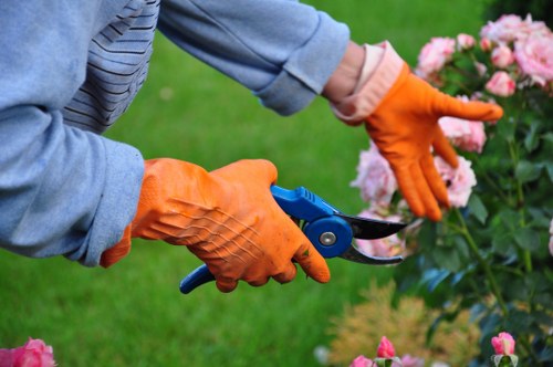 Customer complaint being recorded for landscaping work