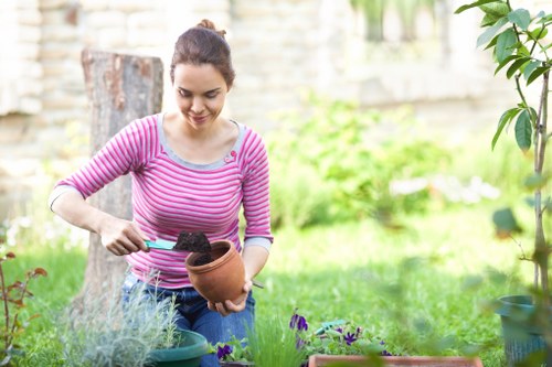 Low-maintenance soft landscaping for a Limehouse courtyard