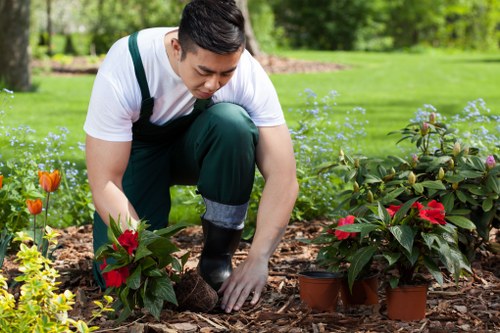 Outdoor redesign ideas for a Limehouse property with low-maintenance landscaping