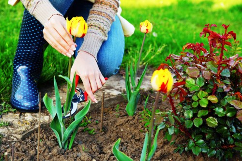 Site assessment and protective equipment used for landscaping work