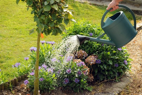 Keyboard navigation and accessible content for Landscaping Limehouse