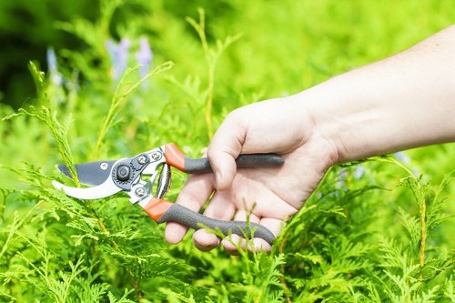 Urban garden planting suited to Limehouse properties