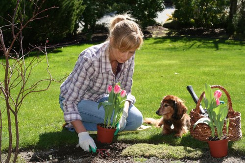Professional landscaping team maintaining a safe outdoor worksite