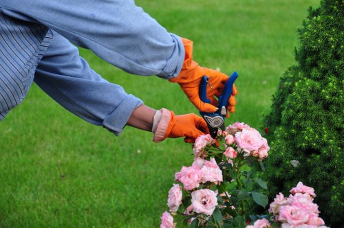 Staff training in safe landscaping practices on a Limehouse site