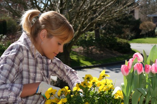 Commercial soft landscaping near Limehouse entrance area
